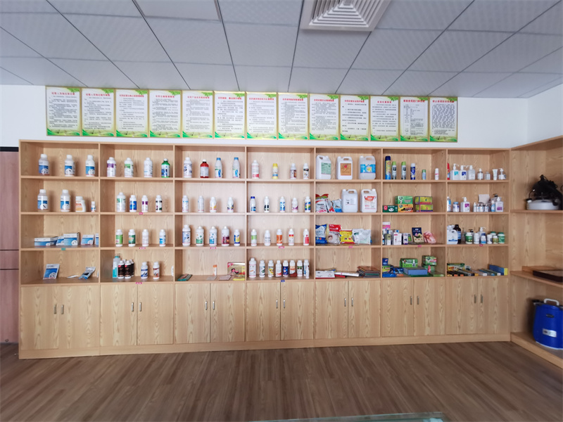 ����ҩ��