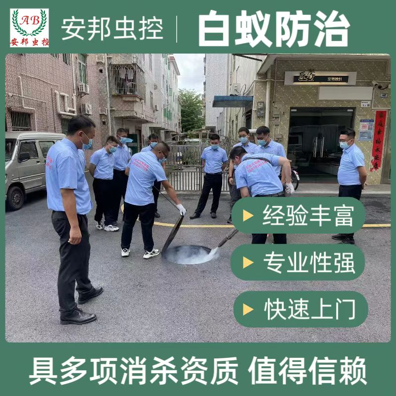 ���Ϸ���