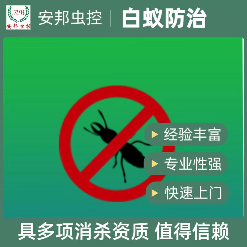 ���Ϸ���