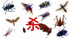 �����а�����������޹�˾Ϊ�����ܸ���ɱ...