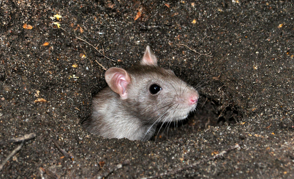 ��������������Щ����������