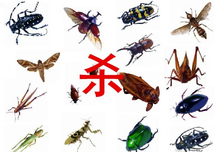 ����̫����룬���ȥ����